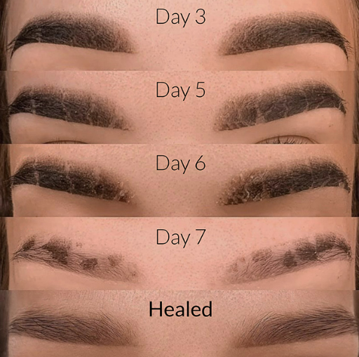 powder brow healing